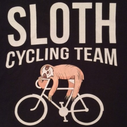 Sloth Racing Team