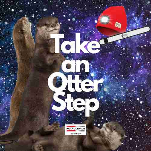 The Walking Otters