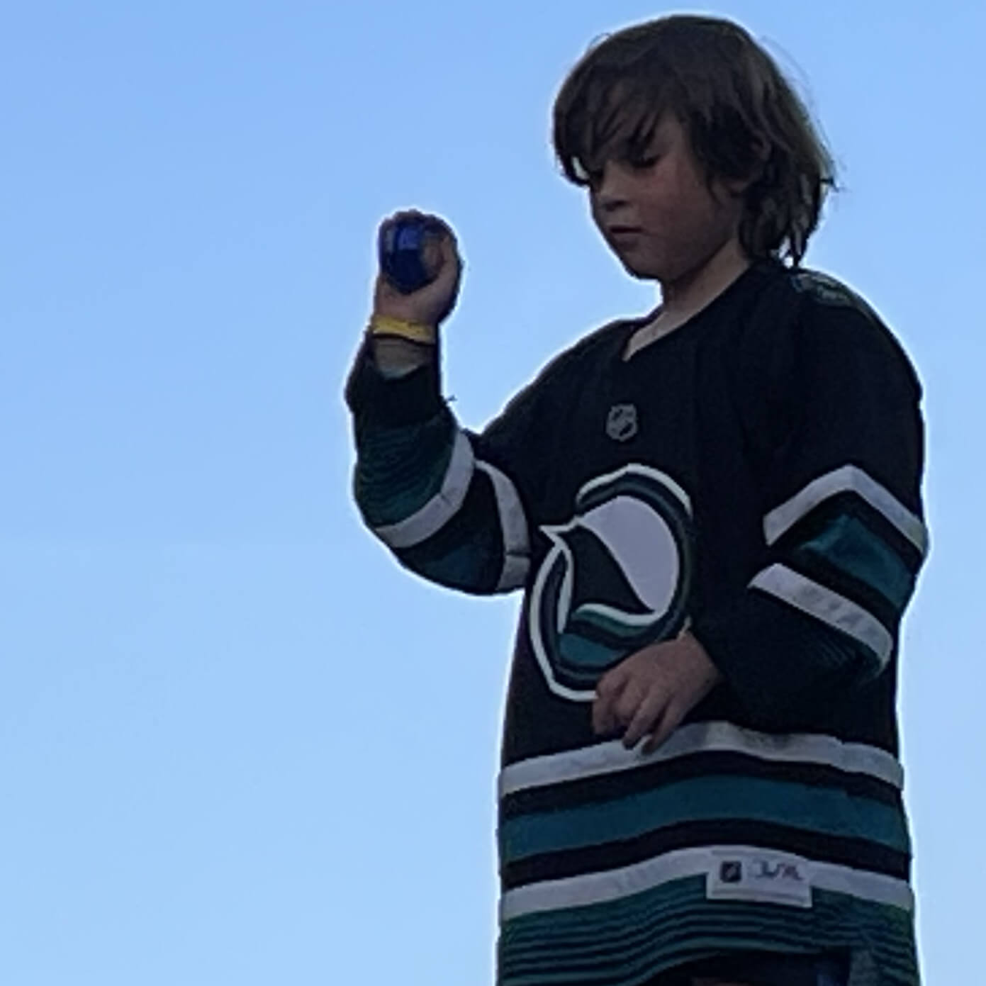 Sullivan Johnston
