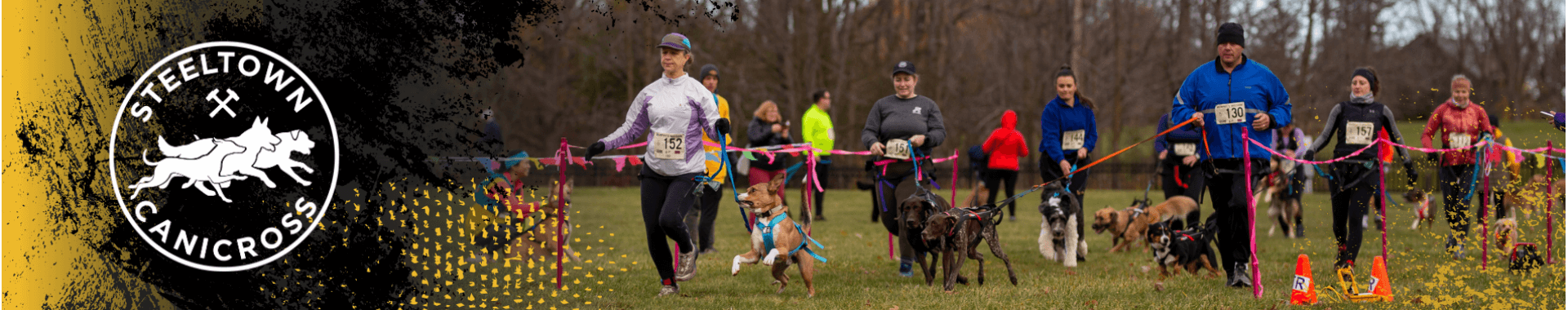 Murphy’s Mission — Run for Hamilton Animal Services