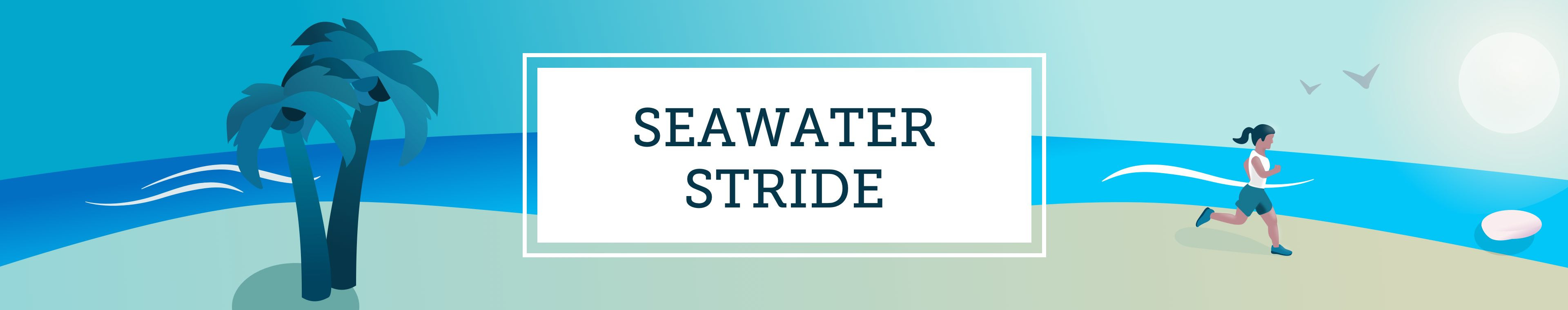 Seawater Stride Dev 2