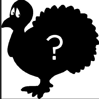 Participants Fleet Feet Turkey Day 8k Race Roster Registration Marketing Fundraising