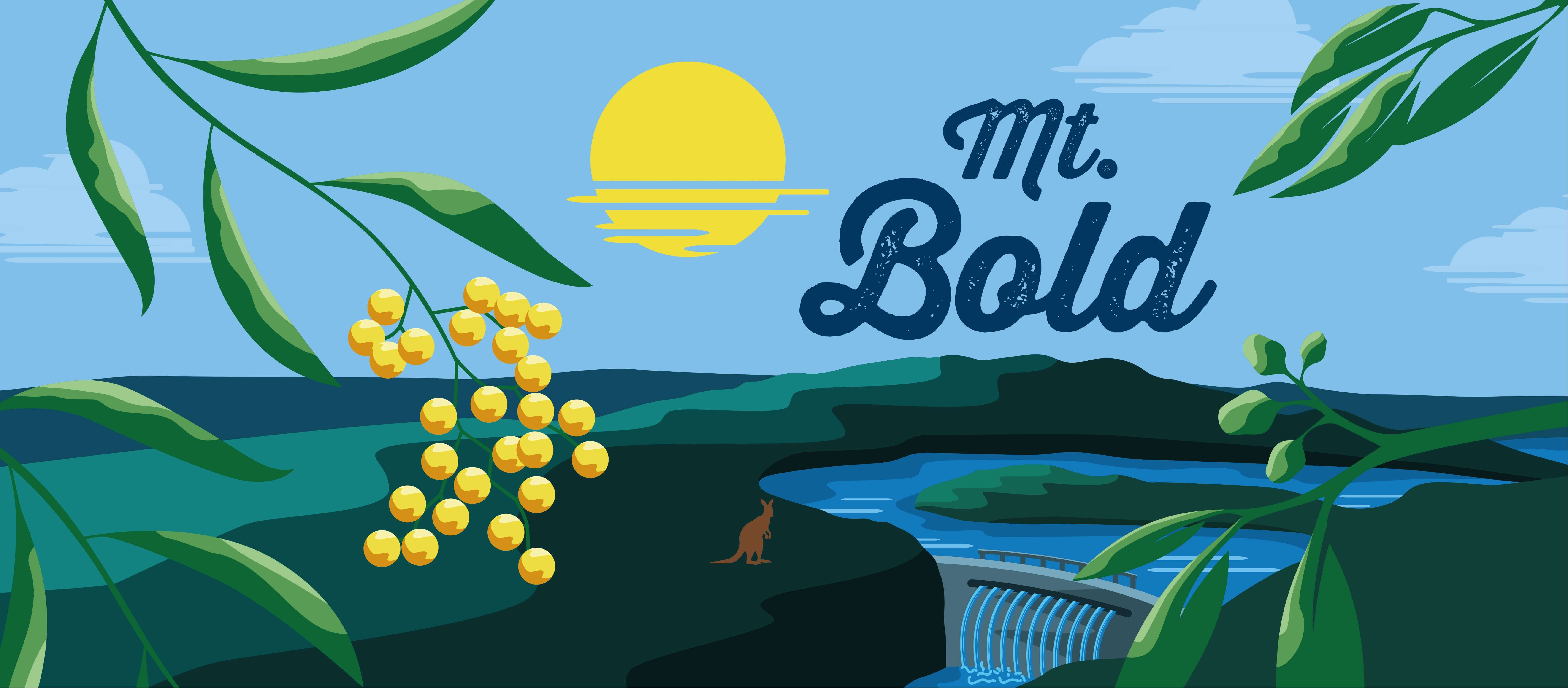 Mt Bold 2026 briefing