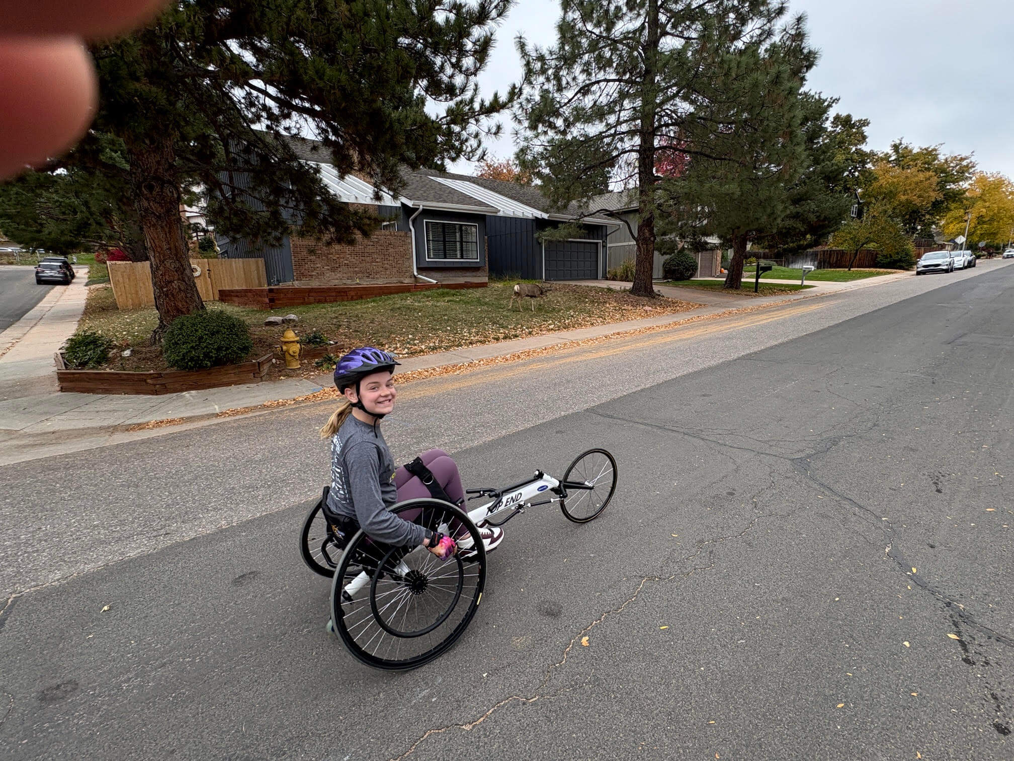 6a9b24513f4c4.jpg