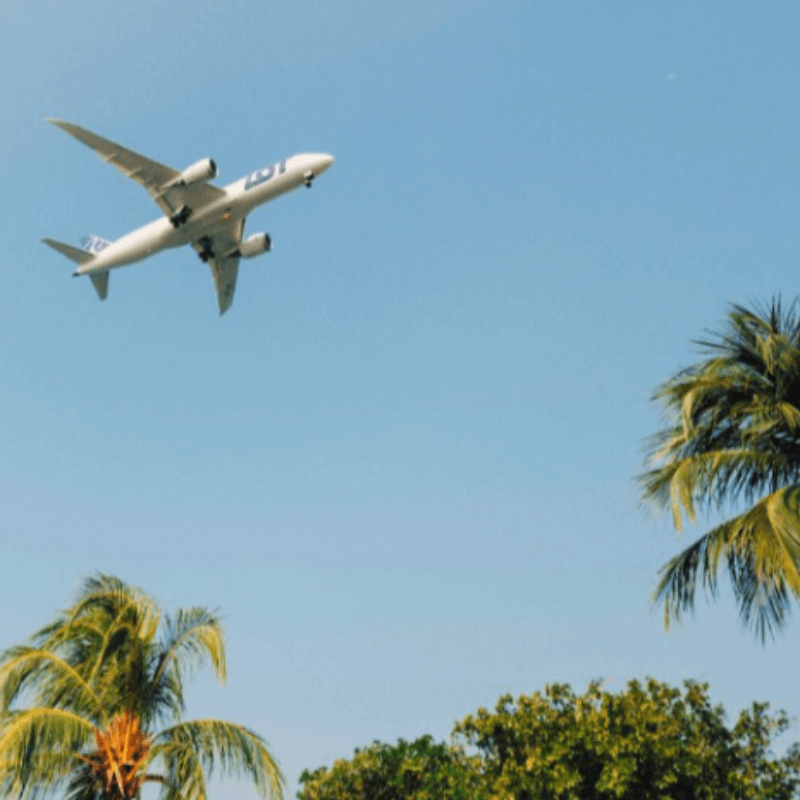 Offset Your Carbon Footprint – International