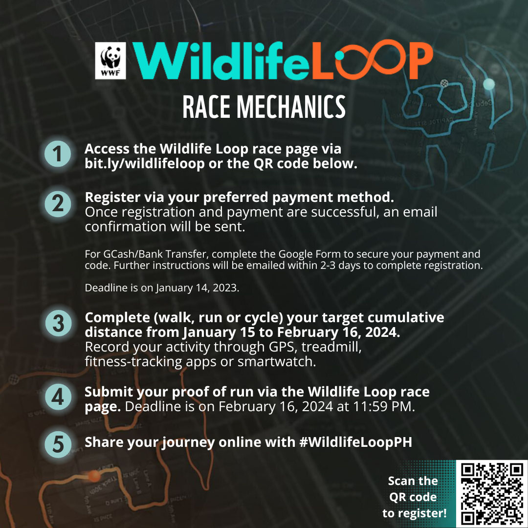 Race Mechanics — 2024 — WWF Wildlife Loop Race Roster — Registration ...