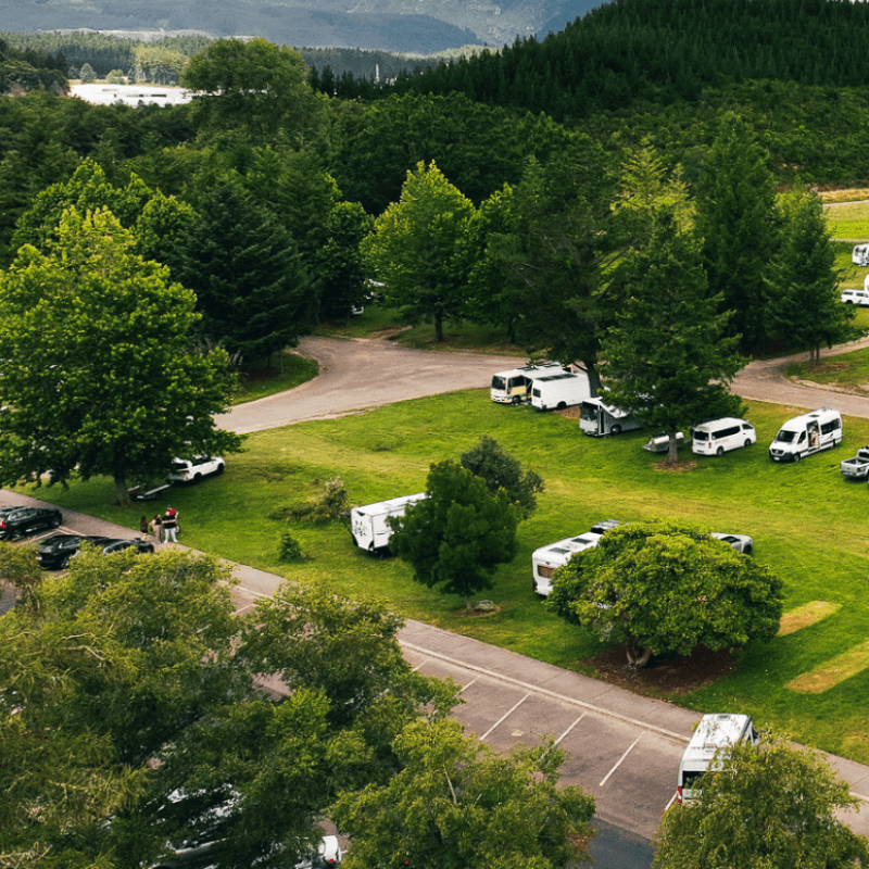 Waipa Forest Camp