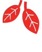 684b1a1f3fb85.png