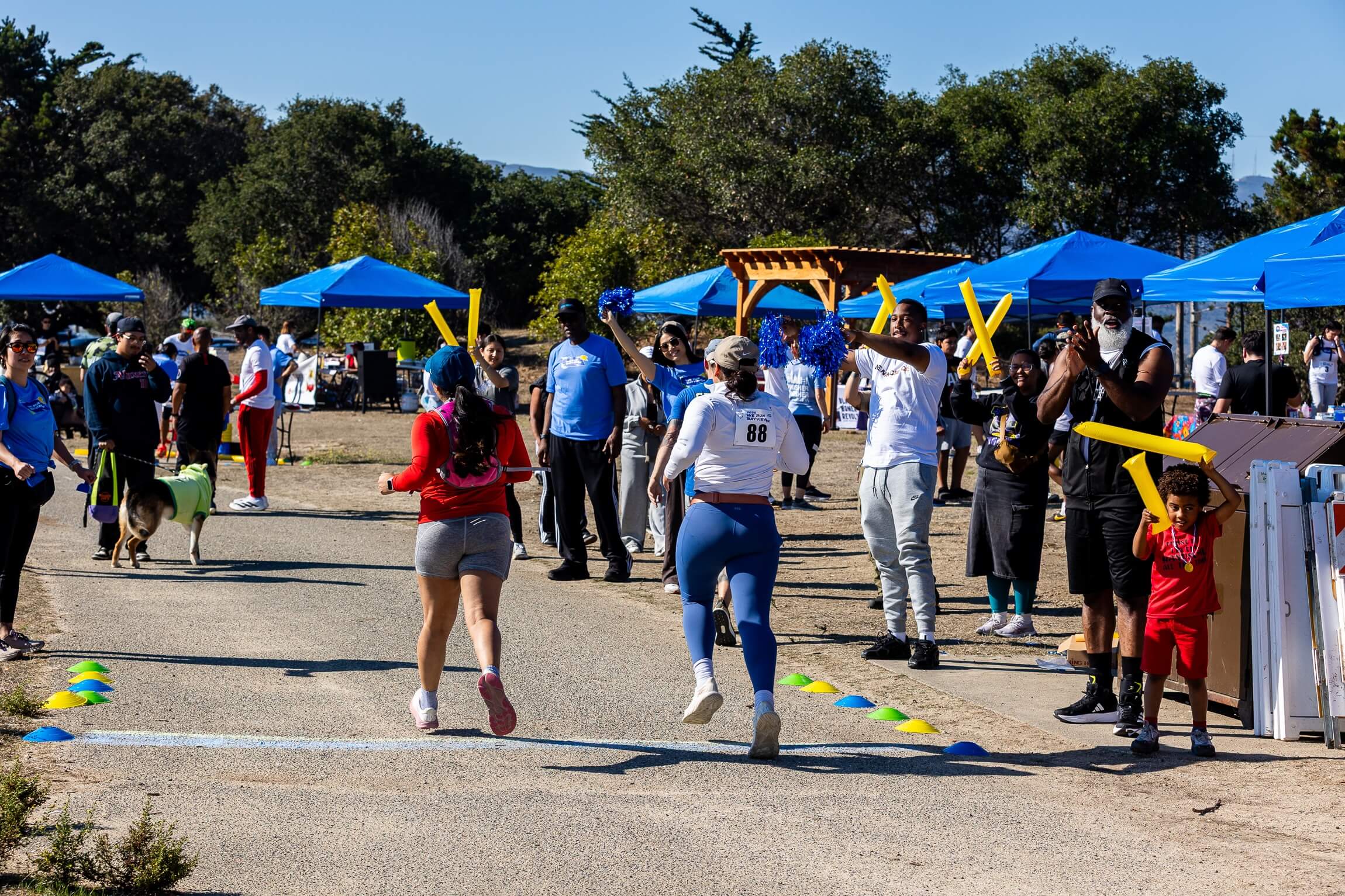 6a727c2a04e47.jpg