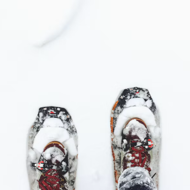 Snowshoe Rentals