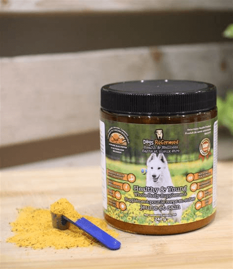 Healthy & Young Whole Body Supplement – Dogs Reformed