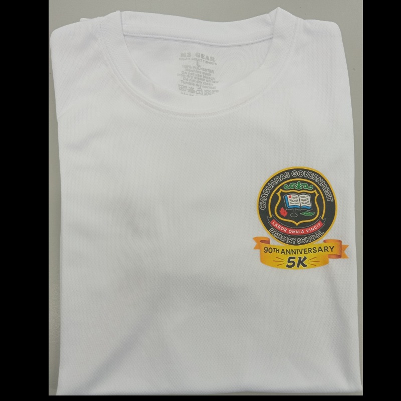 DriFit T-shirt