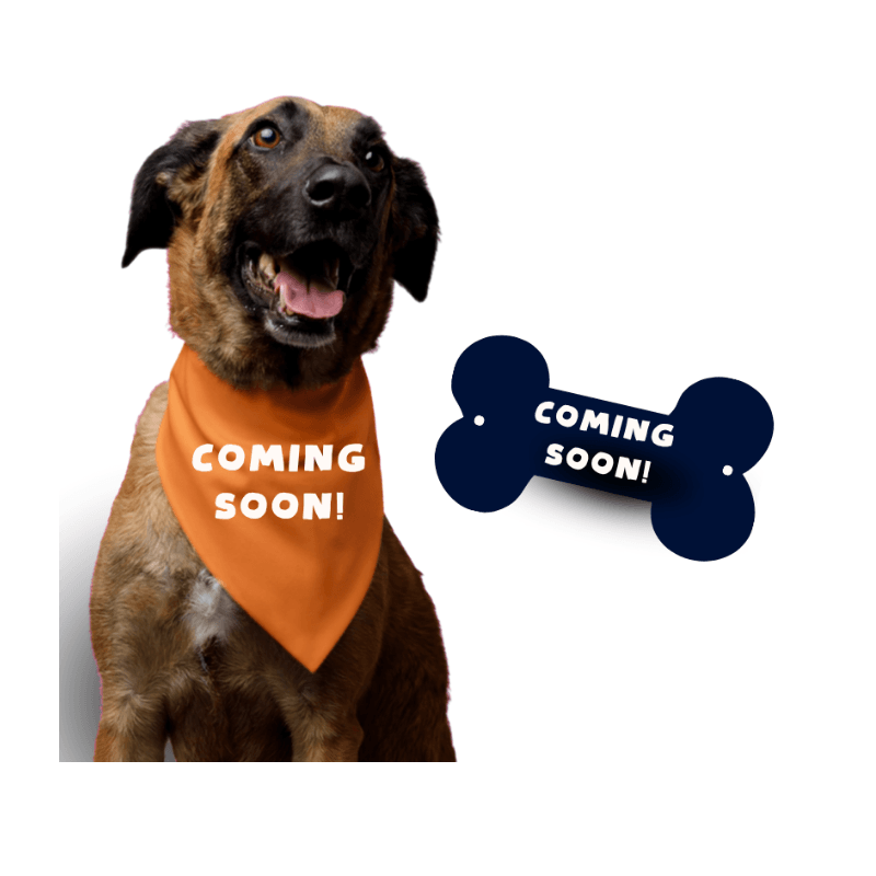 Personalize your pup's Walk Bib with their name and let them strut their stuff in their Wag & Walk bandana! 🐶