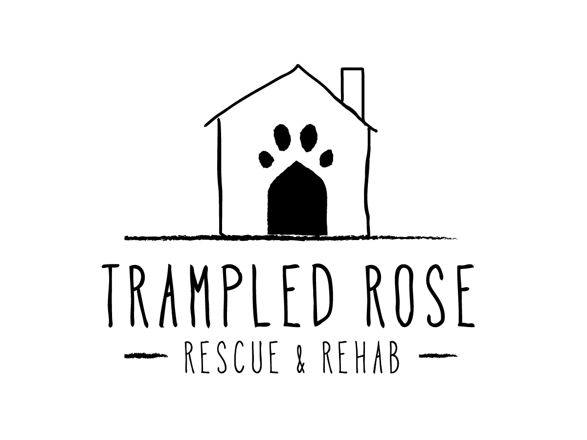 6a9891dab9259.png