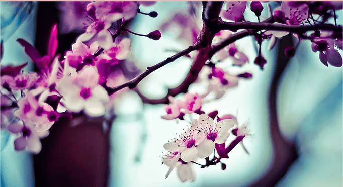 6a16f66963fff.png