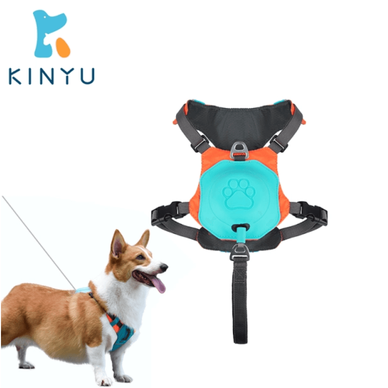 Kinyu 2-in-1 Functional Harness