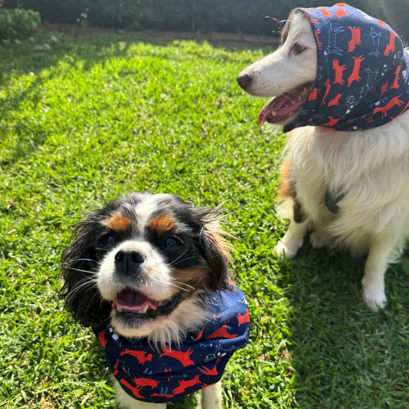 Molly and Ella showing off our merchandise