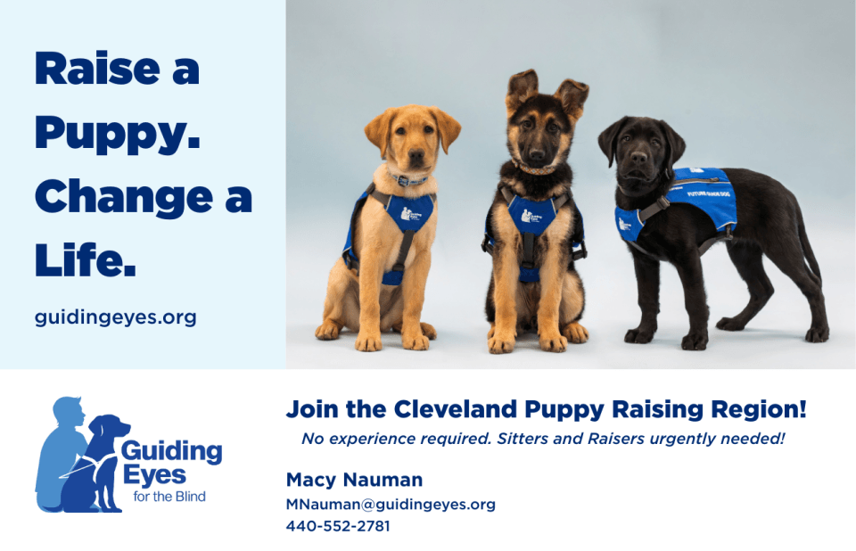 Raise a puppy, change a life guidingeyes.org Join the Cleveland Puppy Raising Region No experience required. Sitters and Raisers urgently needed! Guiding Eyes for the Blind. Macy Nauman mnauman@guidingeyes.org 440-552-2781