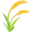 🌾