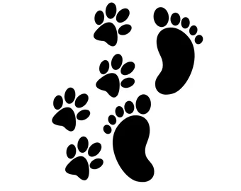 68ae00074061c.png