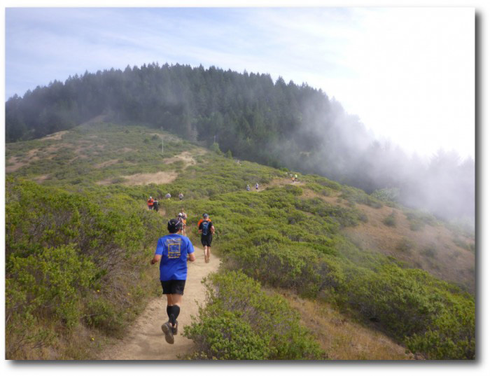 2016 — Walt Stack DSE Double Dipsea — Race Roster — Registration, Marketing, Fundraising