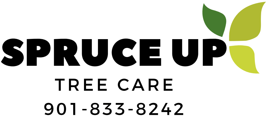 Spruce Up Tree Service