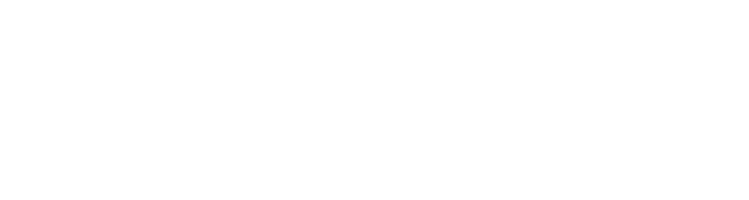 Talon Risk Mitigation & Investigative Services Inc.