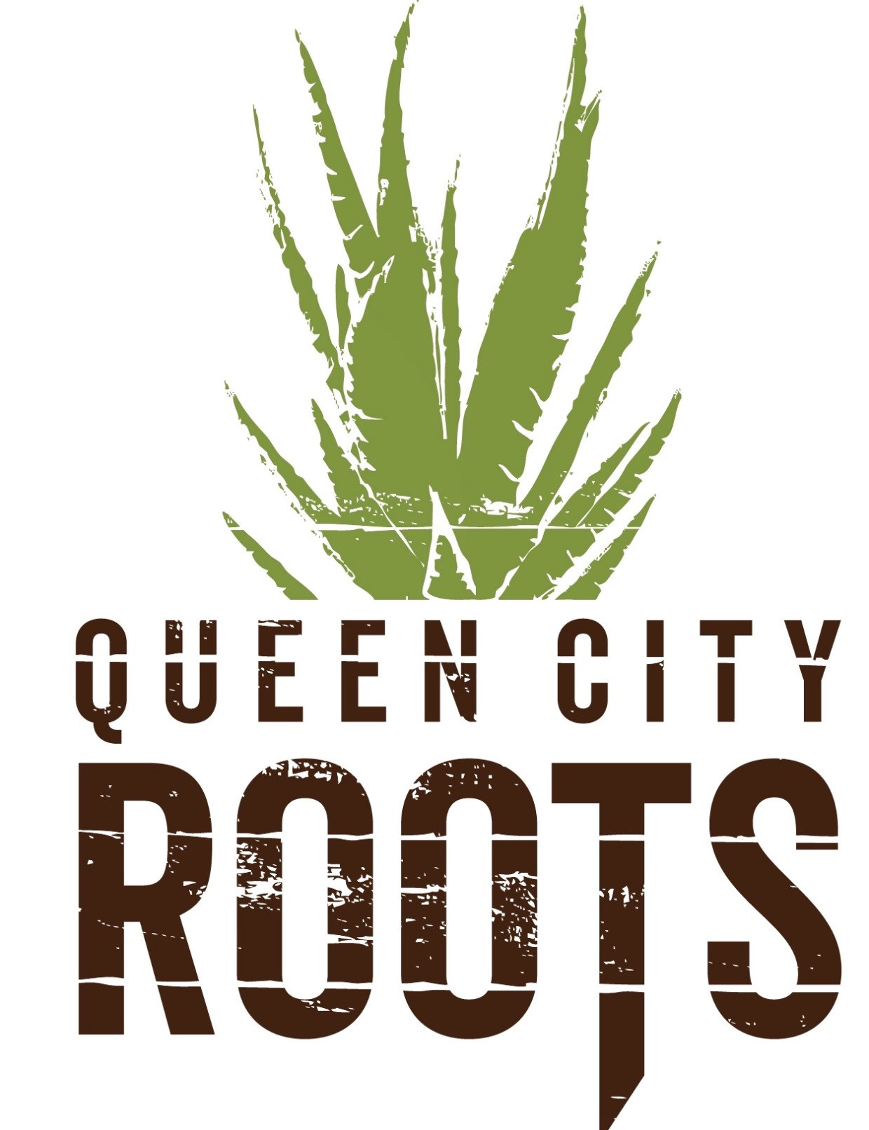 Queen City Roots
