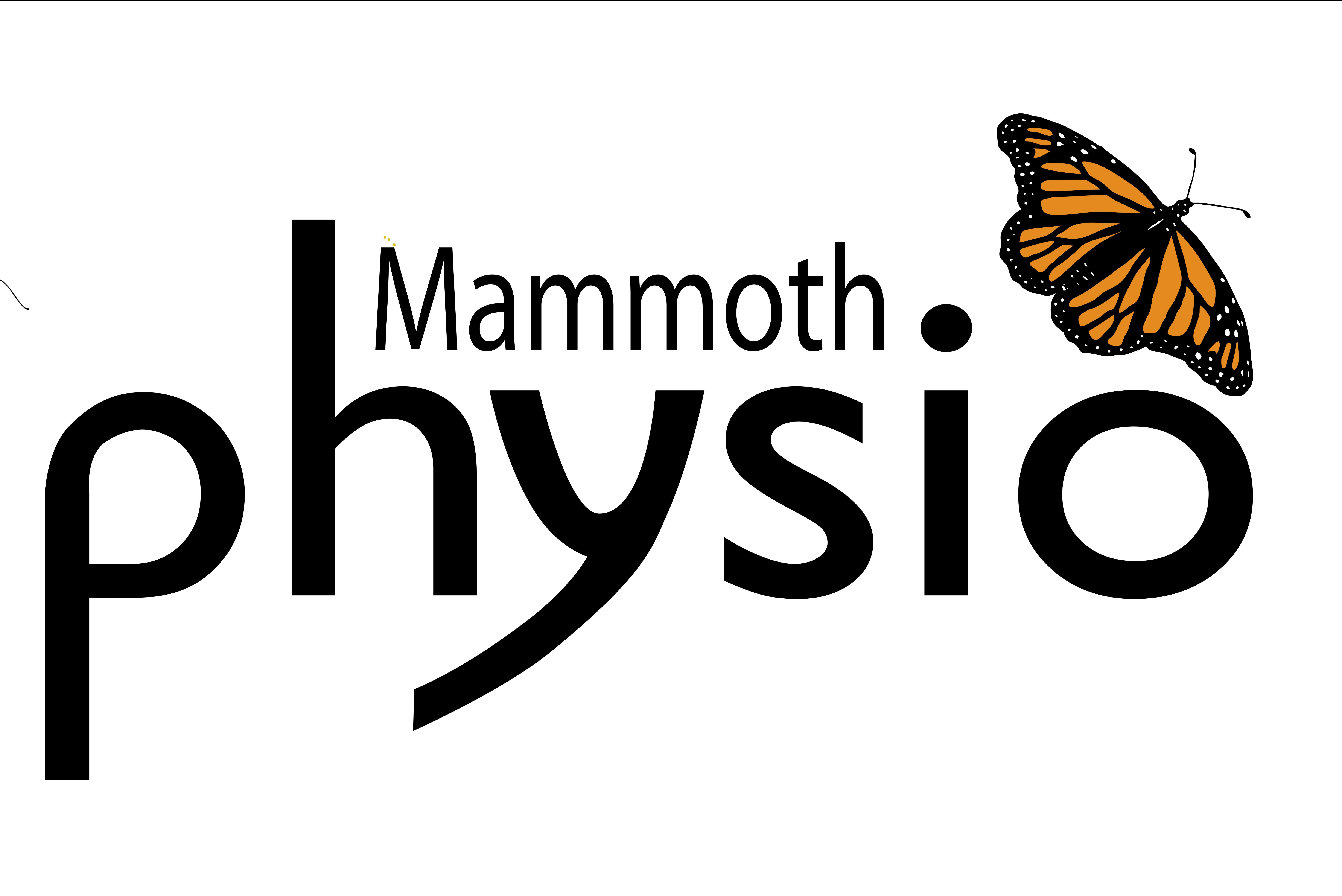 Mammoth Physio