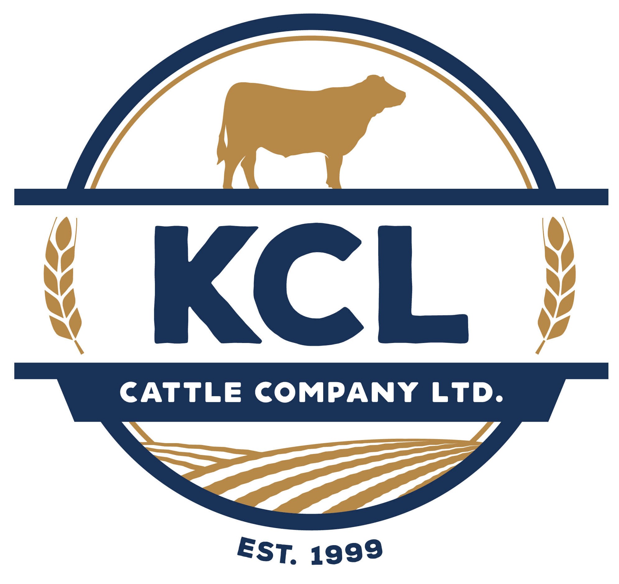KCL Cattle