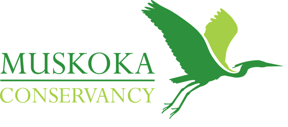 Muskoka Conservancy