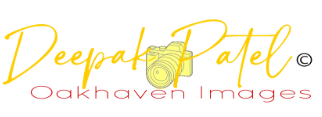 Deepak Patel Oakhaven Images