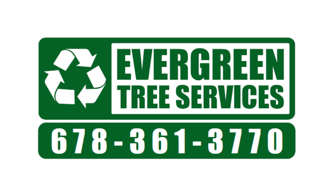 Evergreen Tree Services