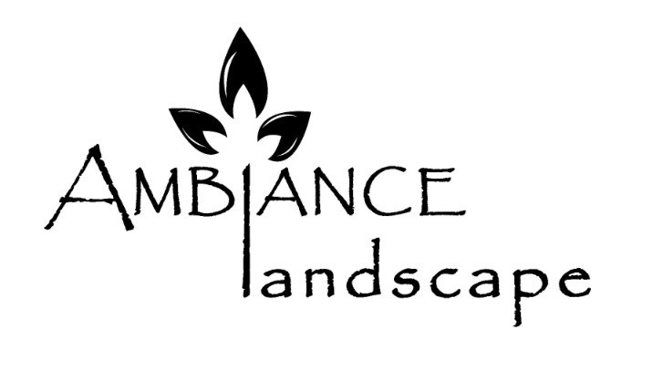 Ambiance Landscape
