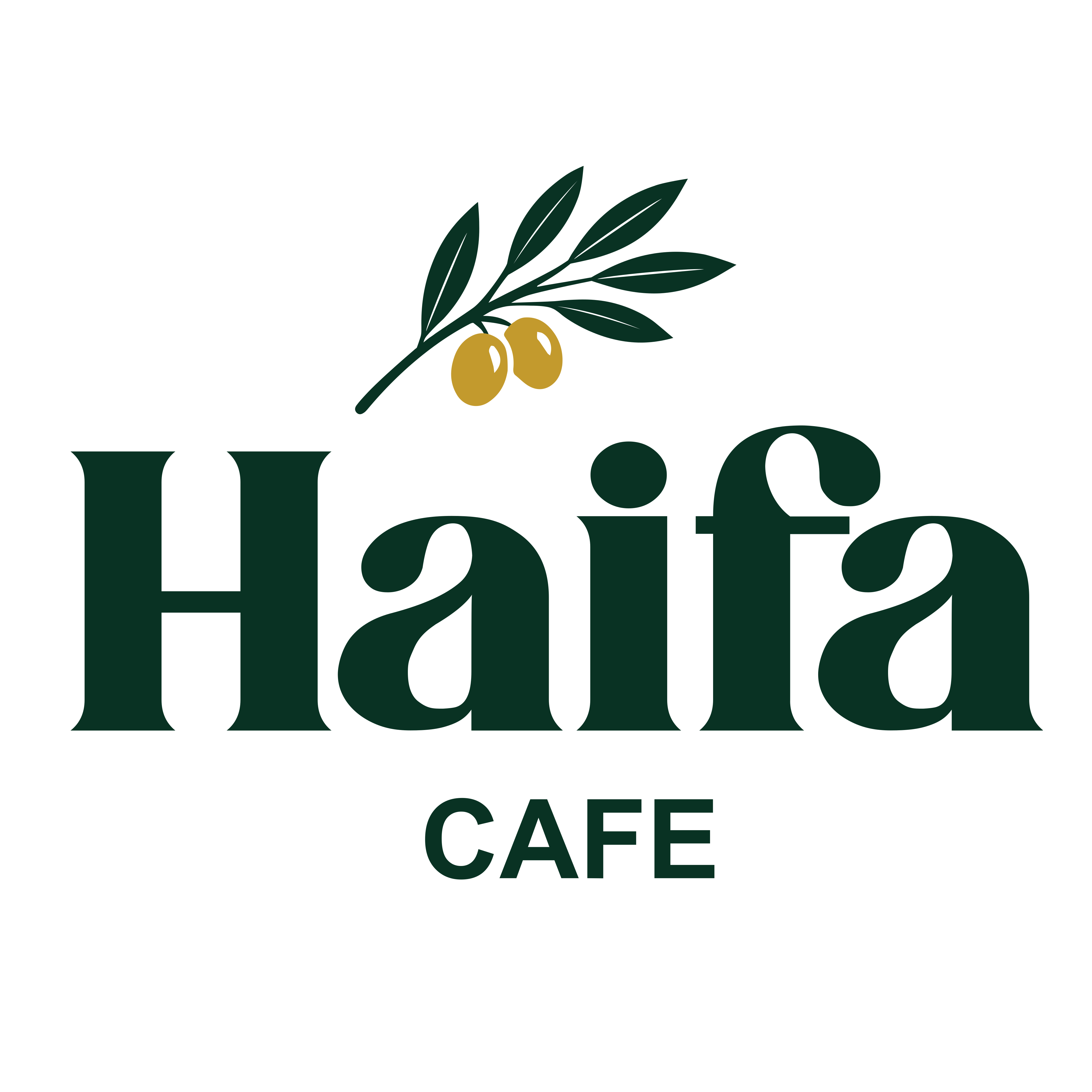 Haifa Cafe