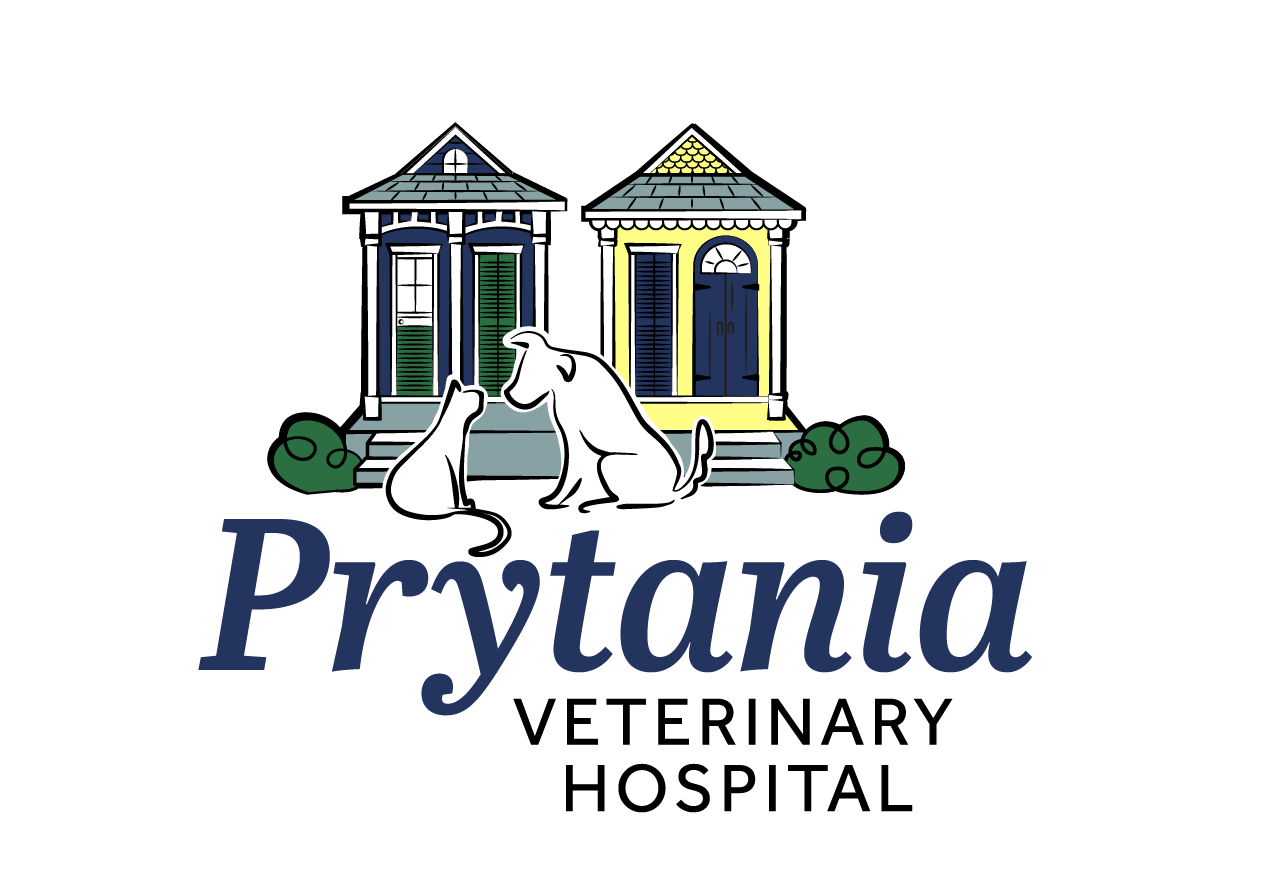Prytania Veterinary Hospital