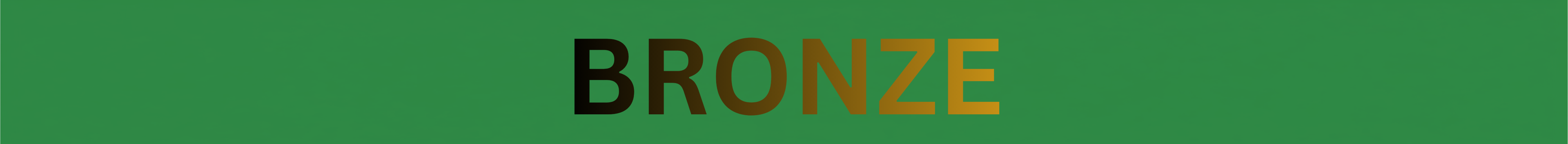 BRONZE sponsor