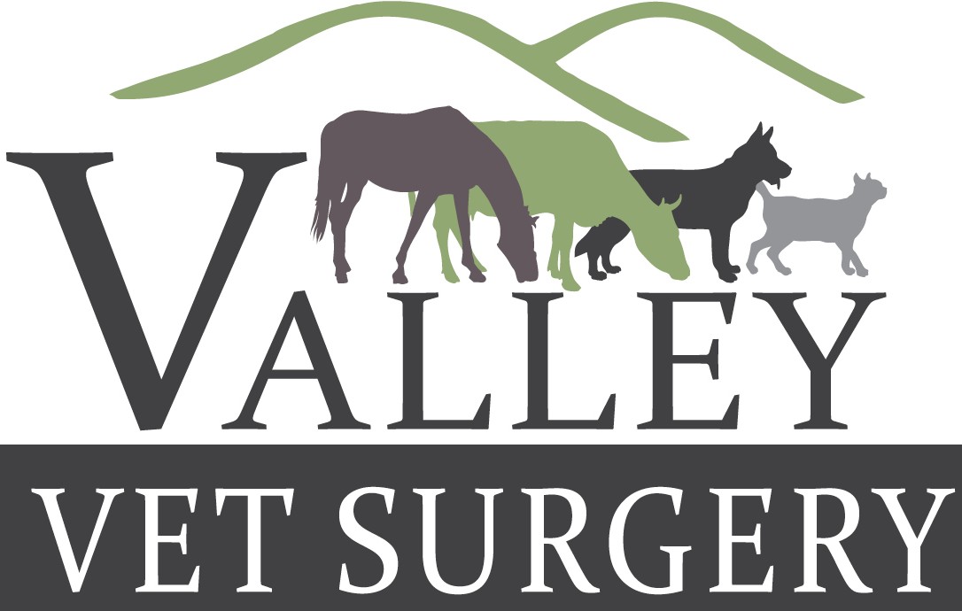 Valley Vet Surgery
