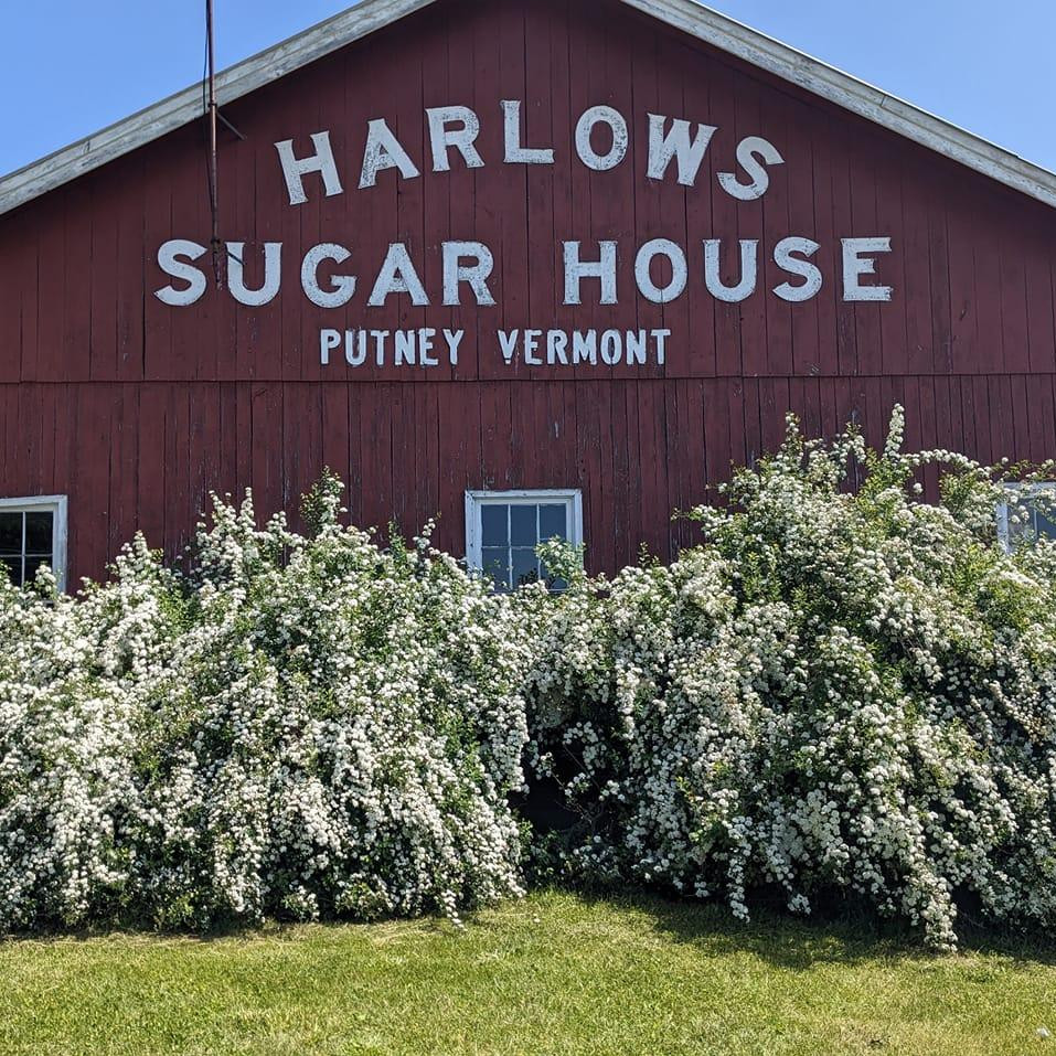 Harlow's Sugar House