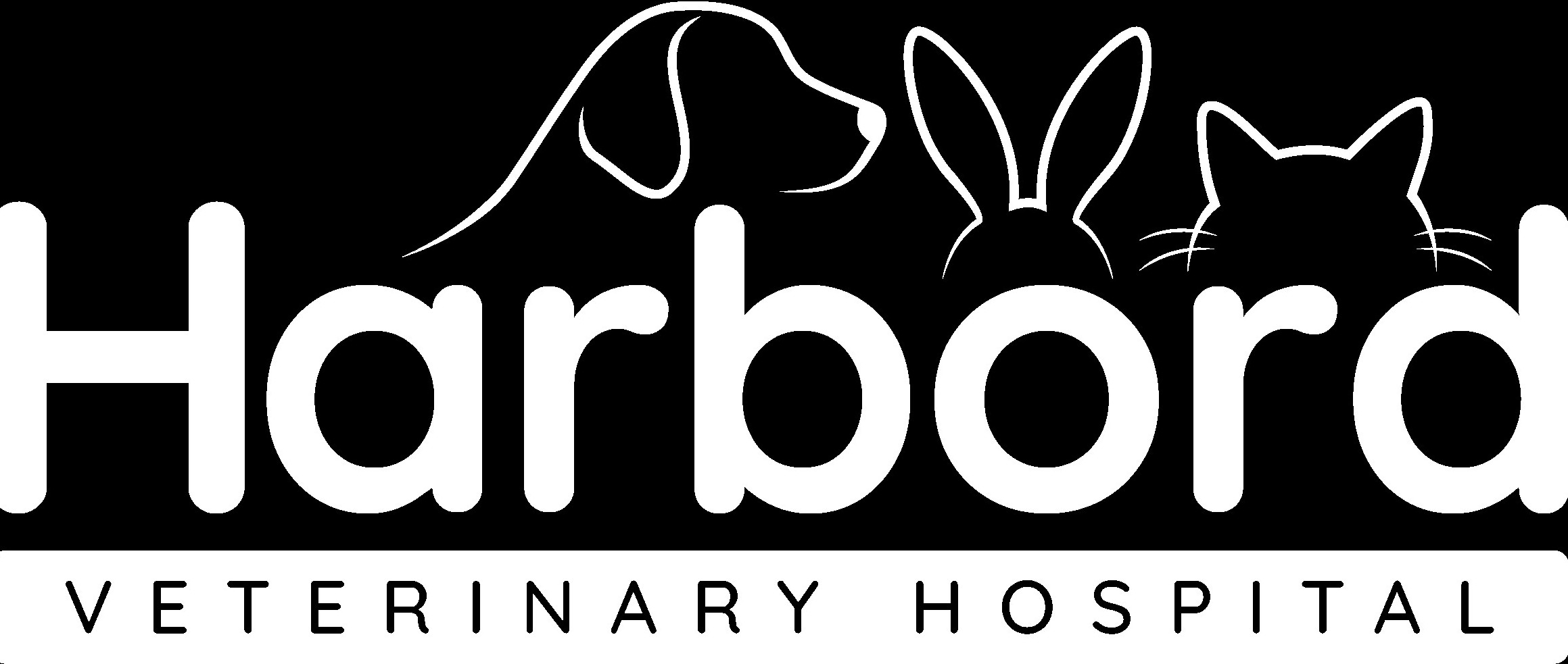 Harbord Veterinary Hospital
