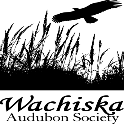 Wachiska Audubon