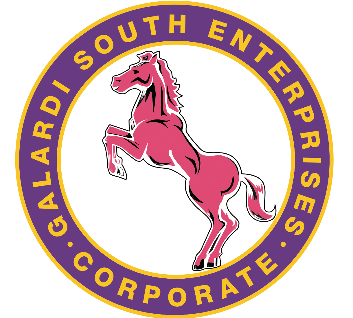 Galardi South Enterprise