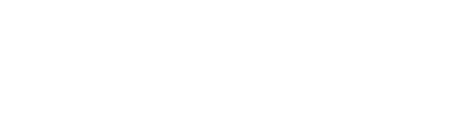 Talon Risk Mitigation and Investigative Services Inc.