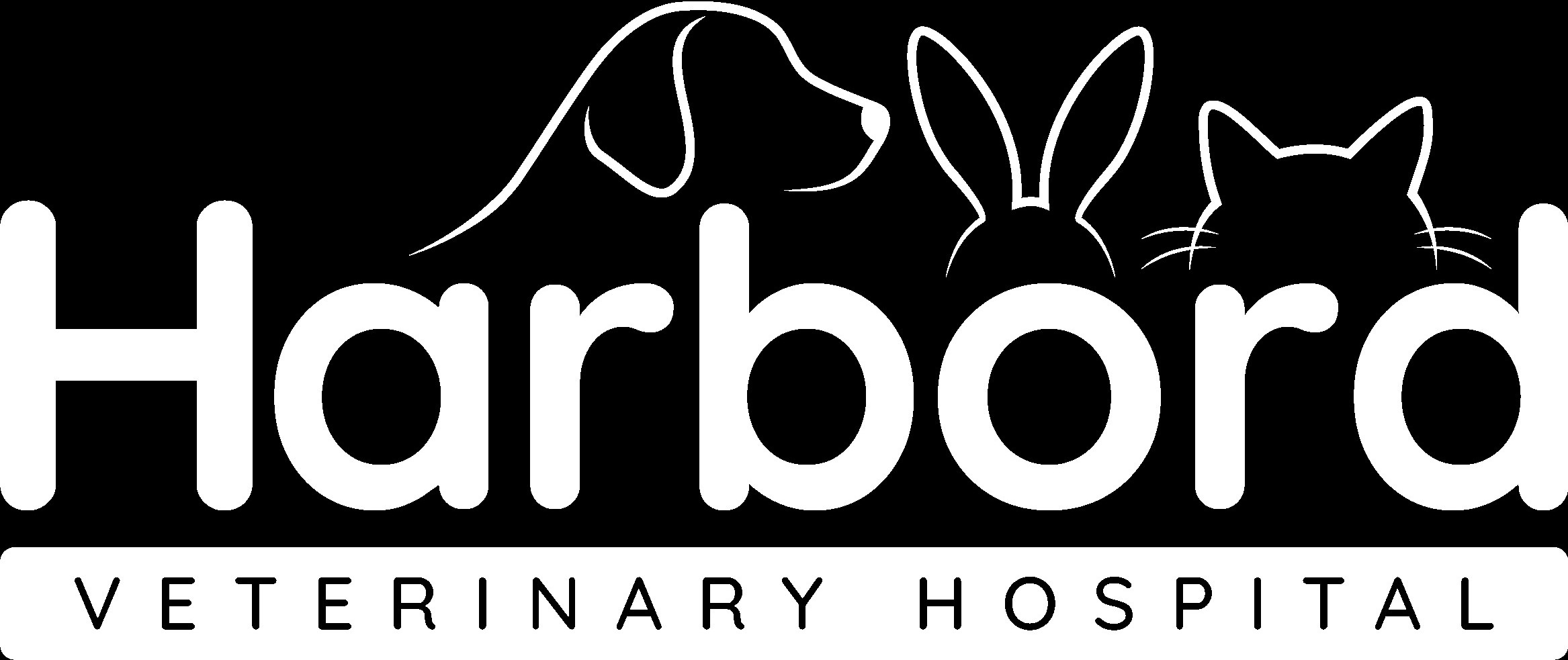 Harbord Veterinary Hospital