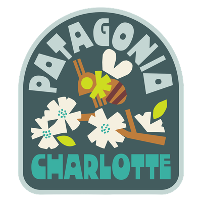 Patagonia