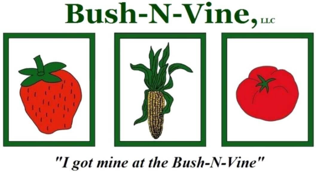 Bush-N-Vine