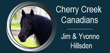 Cherry Creek Canadians (Raffle prizes)