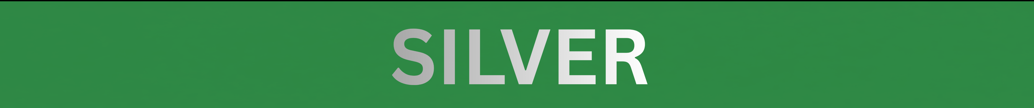 SILVER SPONSORS
