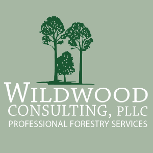 Wildwood Consulting PLLC