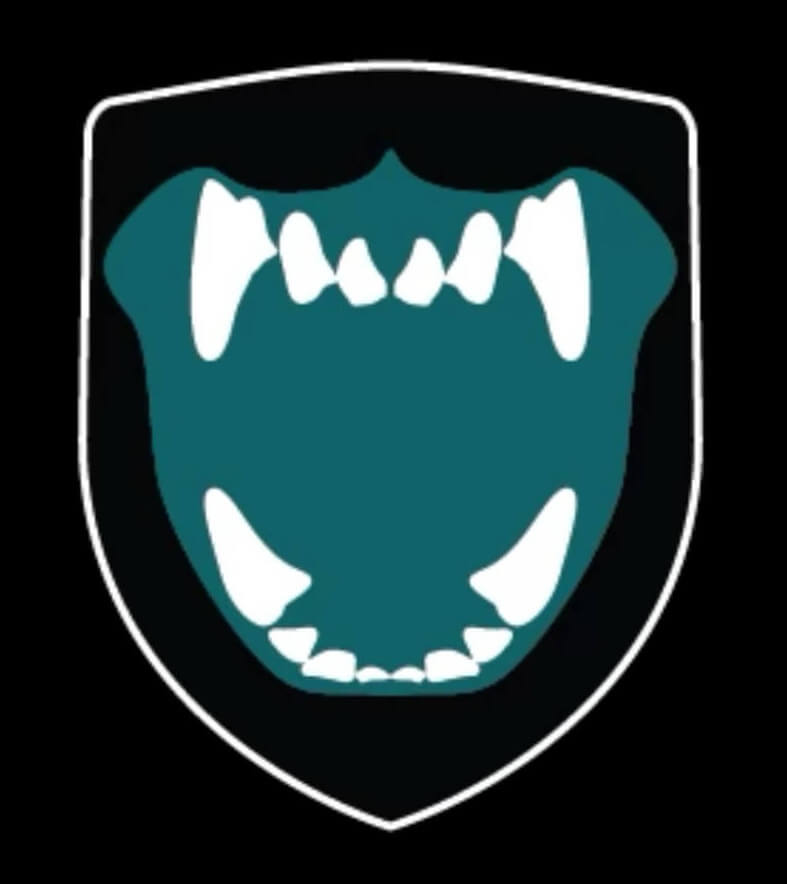 K9 STORM